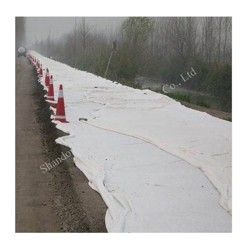 PP/Pet Woven Nonwoven 250g 350g Reinforce Slopes Strongly by Needle-Punched Geotextiles