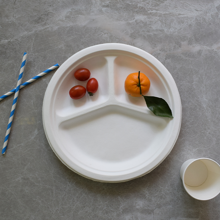 Eco Friendly Biodegradable Disposable Degradable Sugarcane Dinner Bagasse Plate