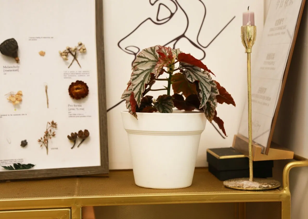 Круглые горшки для цветов из прочного пластика