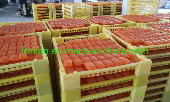 Whitening Soap, Medicated Soap & Glycerin Soap