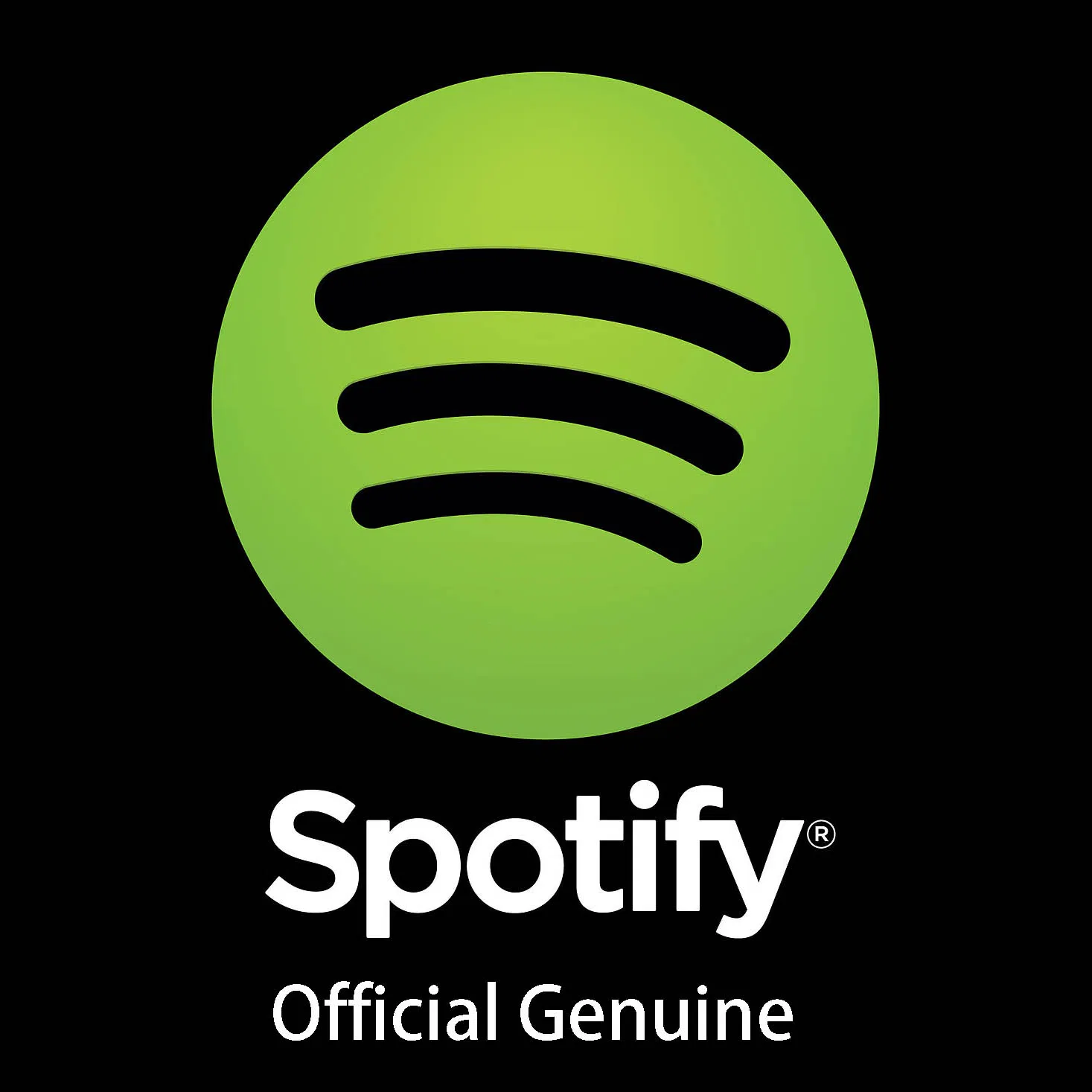 Аккаунт Spotify Premium 2023: подписка на 3, 6, 12 месяцев