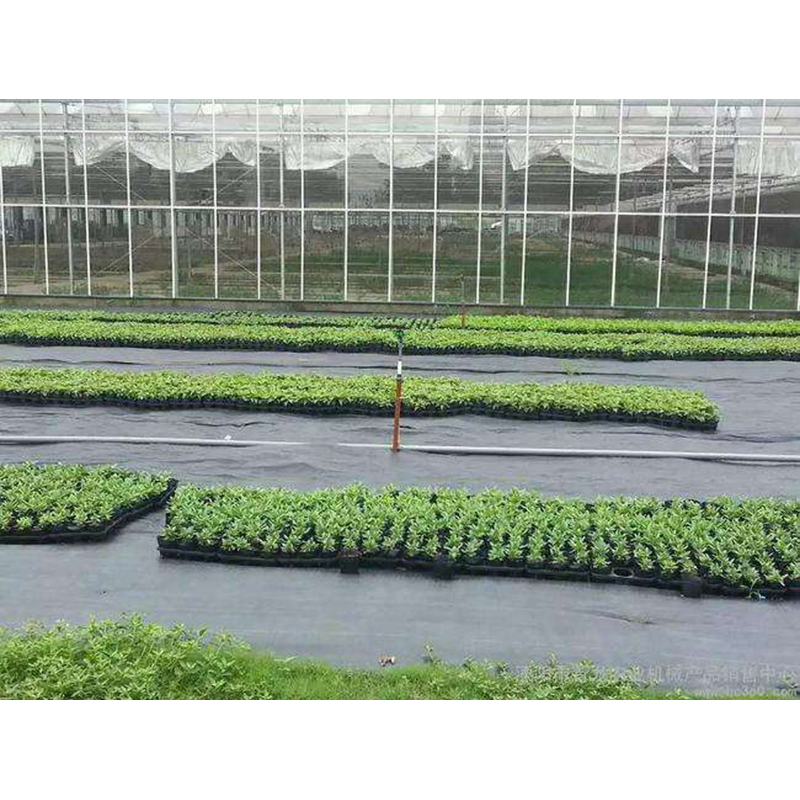 PP Agriculture Ground Cover, Mulch Film, Weed Mat