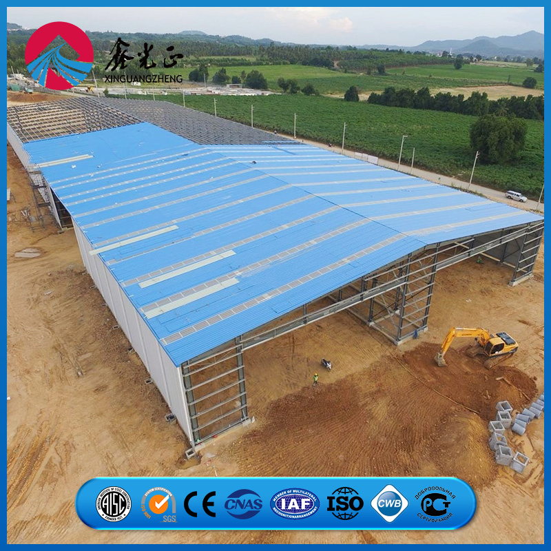 Reinforced Steel Column Support System Chicken Prefab Metal Farming Equipment Steel Structure Sheep/Goat/Pig/Hog/Cattle/Cow/Poultry House/Shed