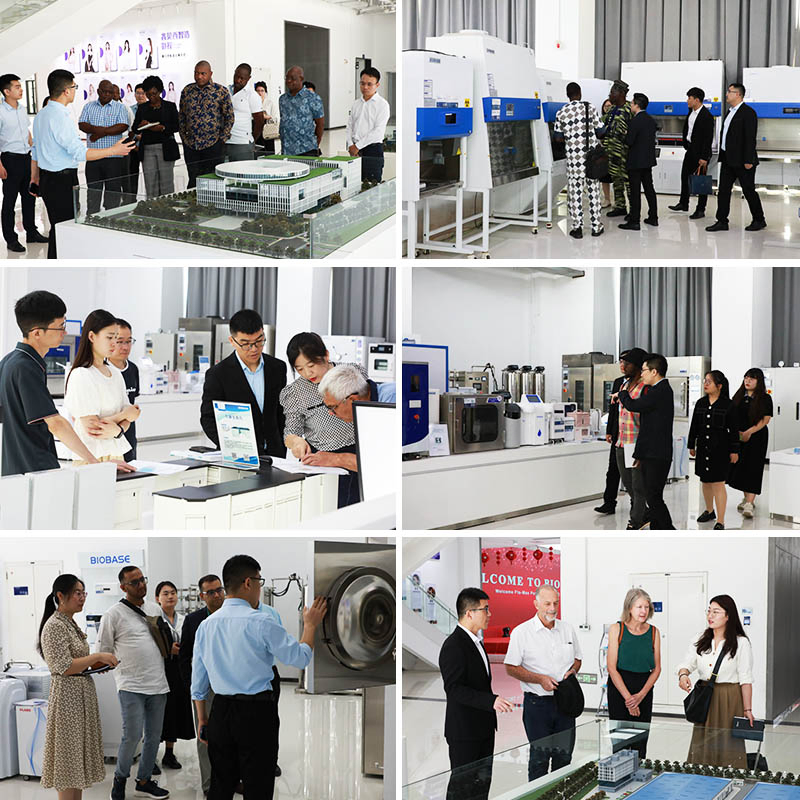Biobase UC-60d Non-Polluting Non-Damaging and Multi-Purpose Cleaning 30L Ultrasonic Cleaner for Lab
