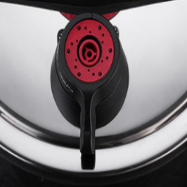 High Quality 304 Stainless Steel Gas Pressure Cooker