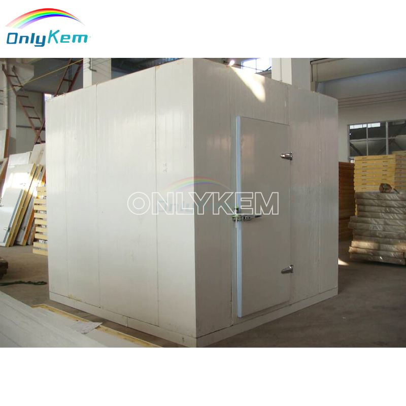 Sandwich Panel Cold Storage Cool Chamber Room with Condensing Refrigeration Unit