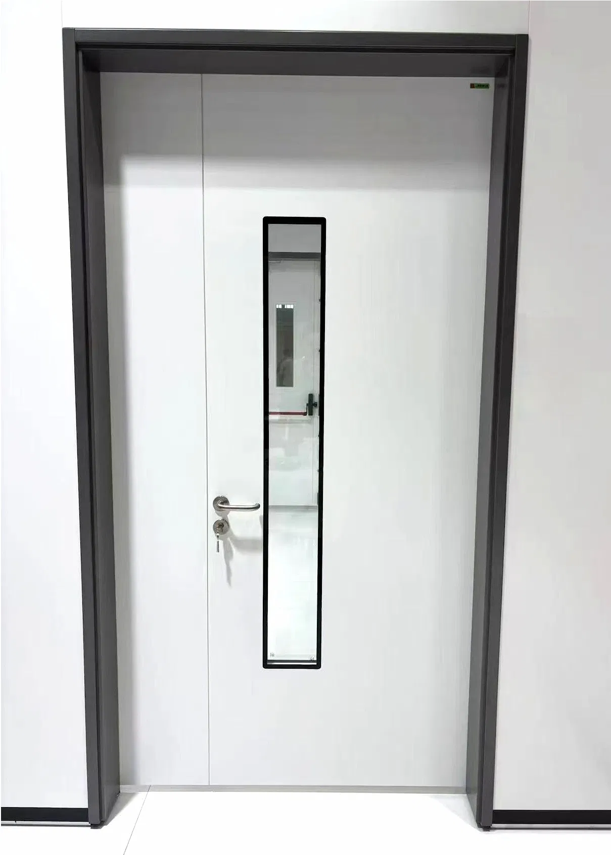 Exterior & Interior Single or Double Modular Stainless Steel Cleaning Security Clean Room Steel Entry Door in Pharmaceutical Industry