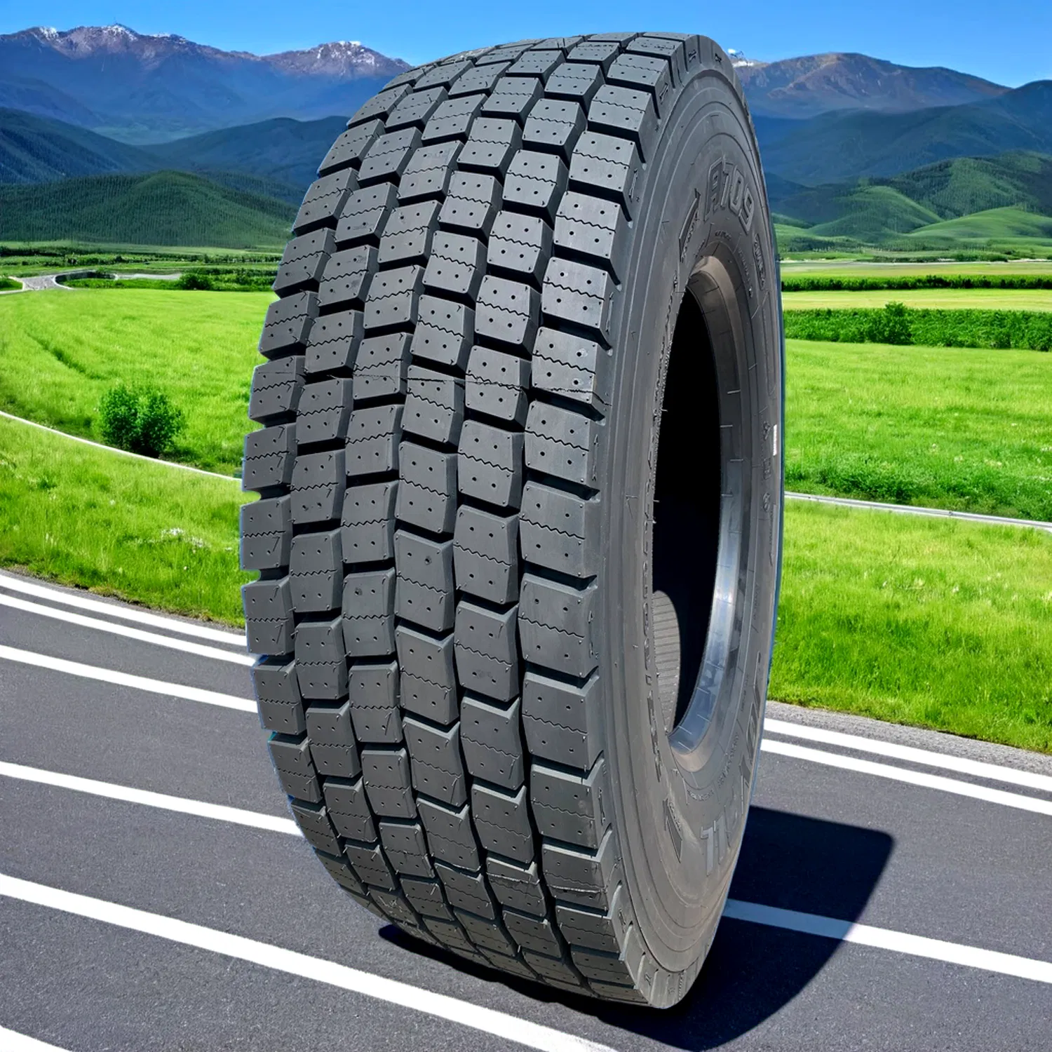 JOYALL 295/80R22.5 Custom Truck Tire