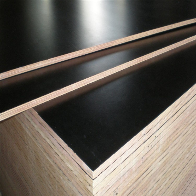 Waterproof Tego Anti Slip Film Faced Plywood 15mm 18mm Fresh Core Construction Formwork Plywood