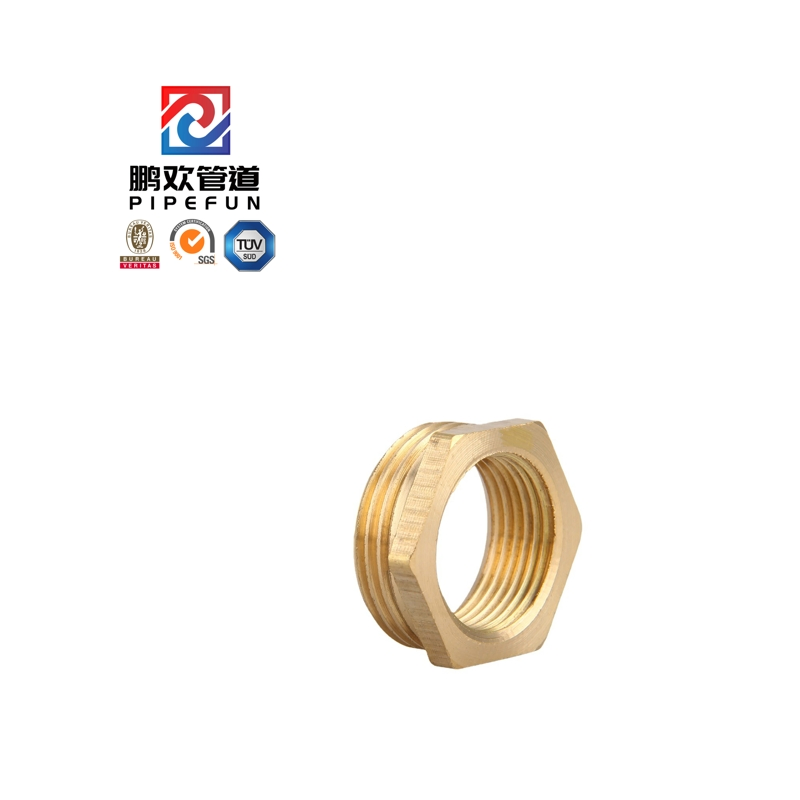 High Pressure Brass Steel Forged Thread Hex Head Bushing