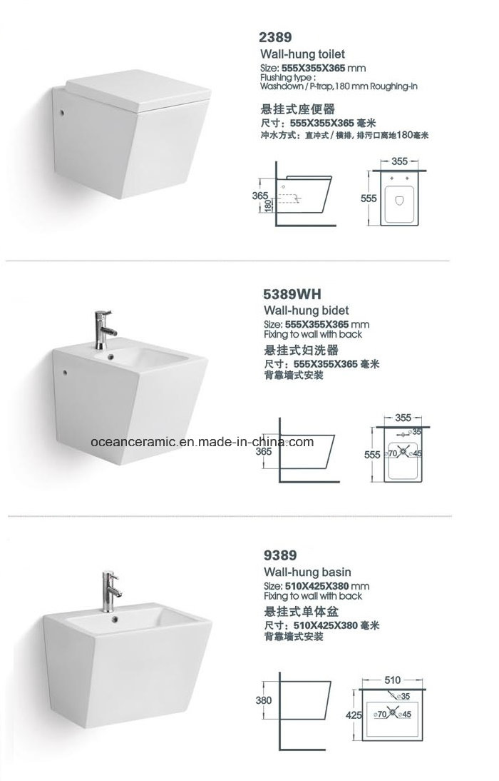 Cc-103 Concealed Cistern with Steel Frame for Wall Hung Toilet