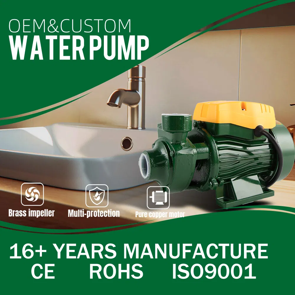 Booster Pumps Home Cast Iron Surface Bomba Qb60 Pm Electric Water Pump