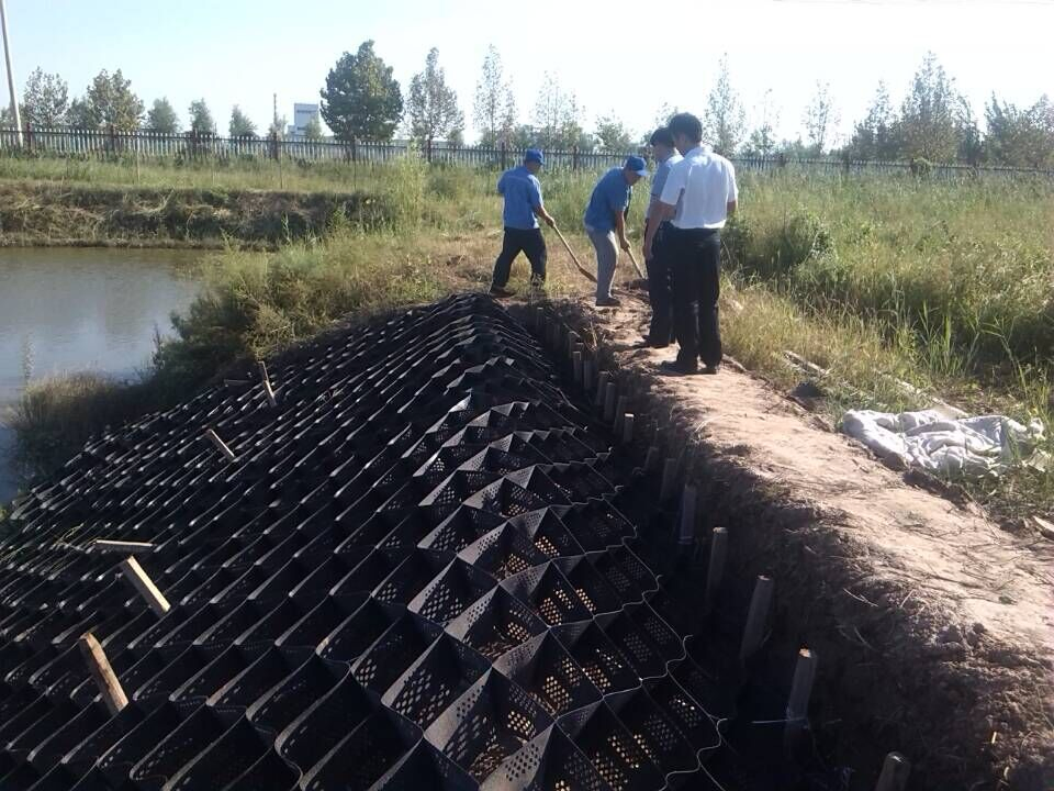 5cm-20cm Height ASTM Standard HDPE Geocell for Slope Protection