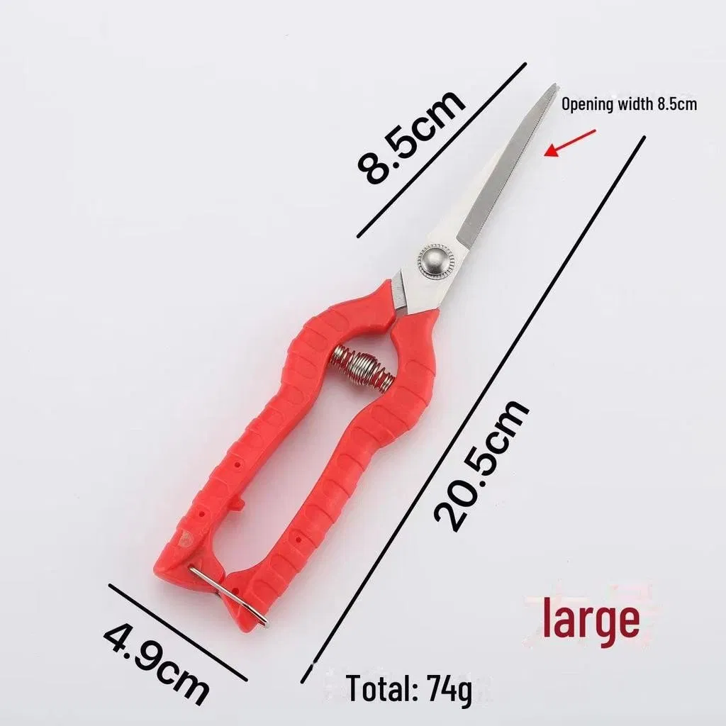 Gardening Shears Fruit Pruning and Thinning Scissors for Orange, Vegetable, and Grape Picking