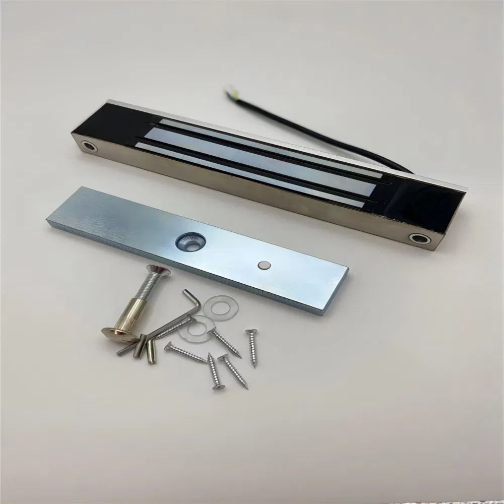 Hot Sale Double Door Delay Feedback Magnetic Lock