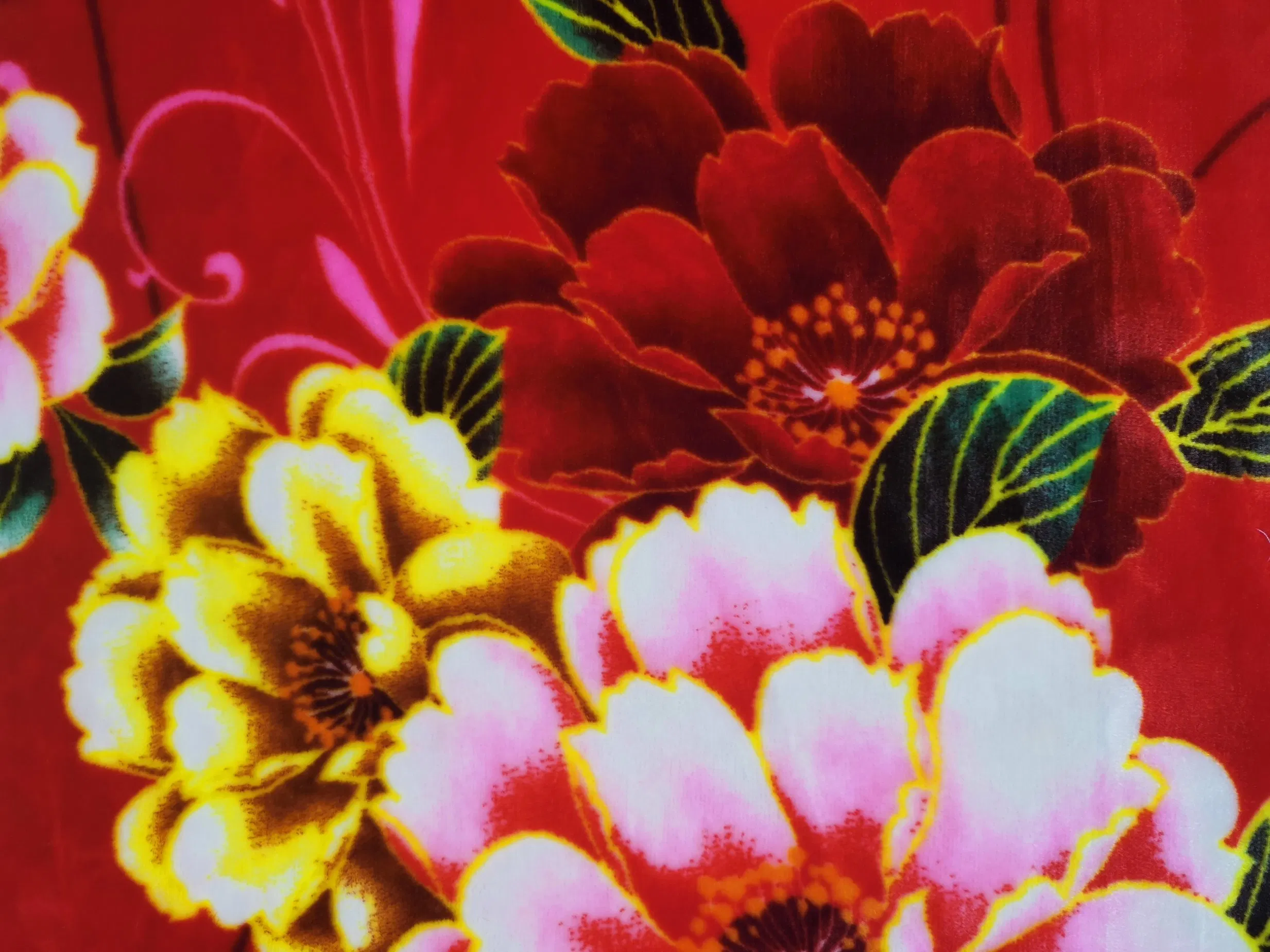 Direct Factory Microfiber Polyester Two Side Printing and Solid Soft Coral Flannel Fleece