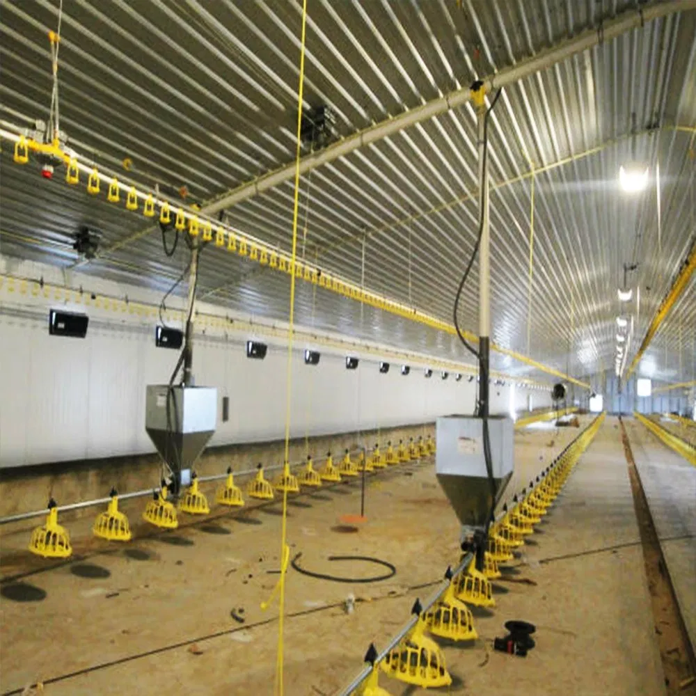 Galvanized Poultry Steel Frame Structure Chicken Farm House