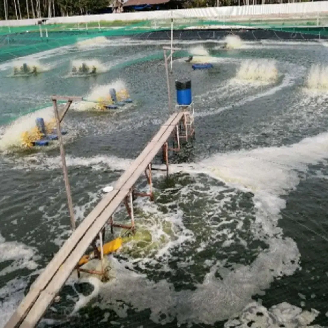 Custom Waterproof PVC Geomembrane for Mining and Fish Pond Engineering Projects