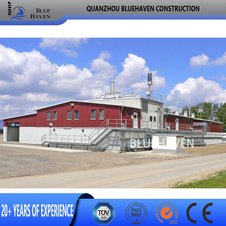 Steel Structure Frame Building Farm Cow Shed Chicken House Coop Poultry Farm