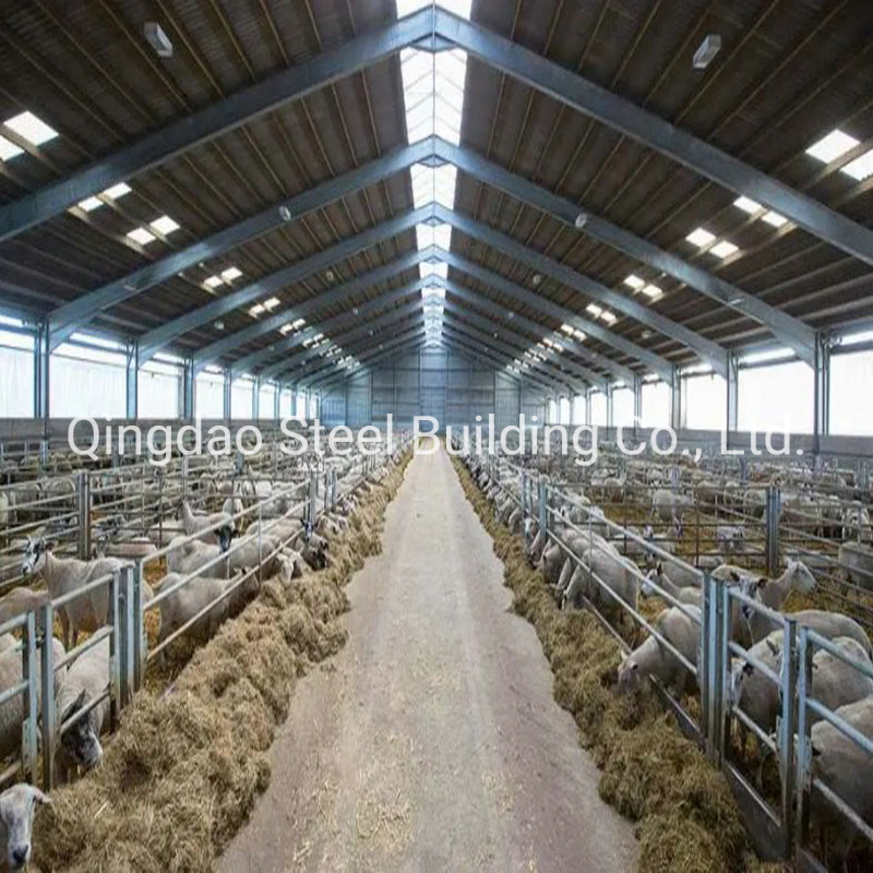 Prefabricated Steel Structure Animal Farming Design Sheep Shed House Building