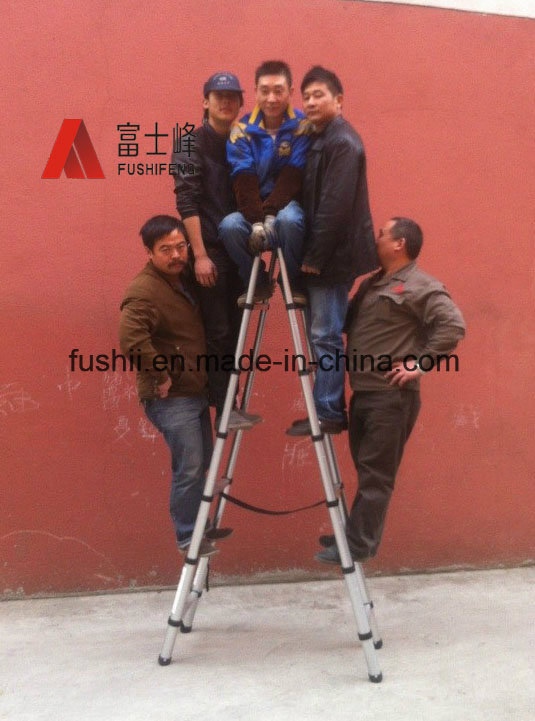 Aluminium Telescopic Ladder with Hinge