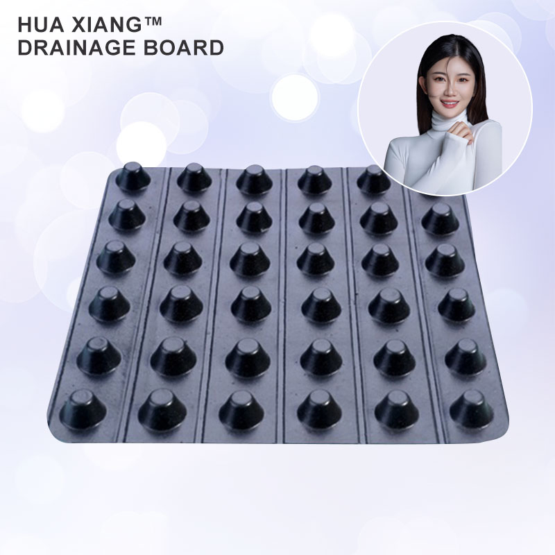 Waterproofing 8mm Plastic Dimple Drainage Board Dimple Drain Board for Underground Outdoor Wall Seepage Prevention