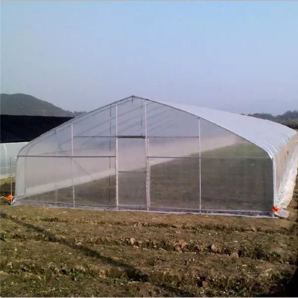Side Ventilation, Top Steel Structure Bridge Multi Span Plastic Greenhouse