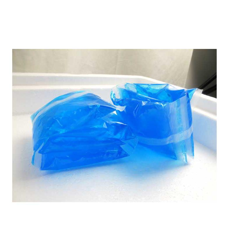 Ccts China Ice Gel Pack for Food Cooling Package 200ml