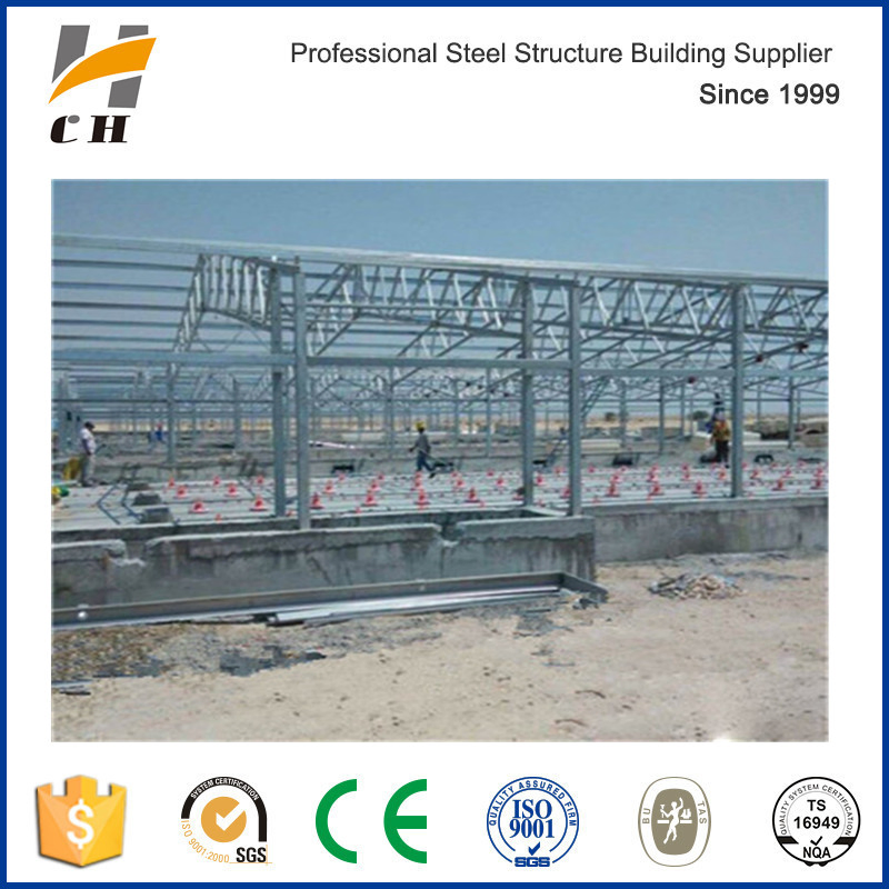 Modern Large-Scale Automatic Poultry Farm/Shed Design for Chicken
