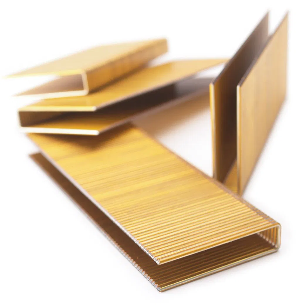 17 Gauge Bea14 Series Galvanized Staples for Construction