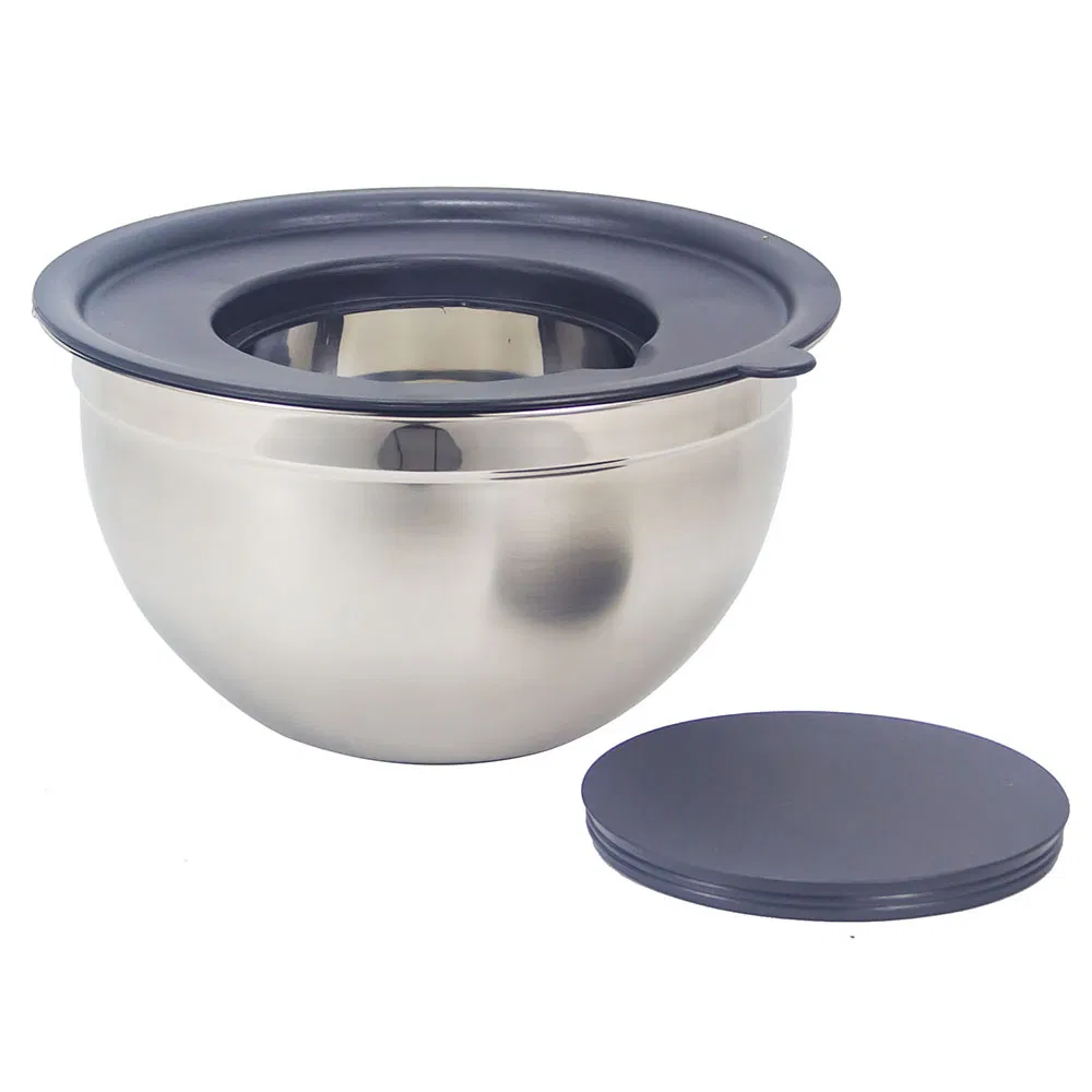 Stainless Steel Salad Mixing Bowl (basin, pot, with plastic nested lid)