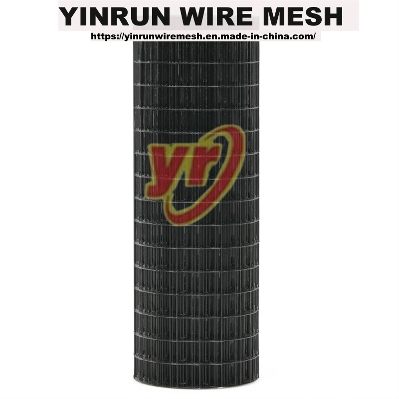 Anti-Rust Galvanized Welded Wire Mesh for Long Lifespan, Advanced Technology, Reliable Quality