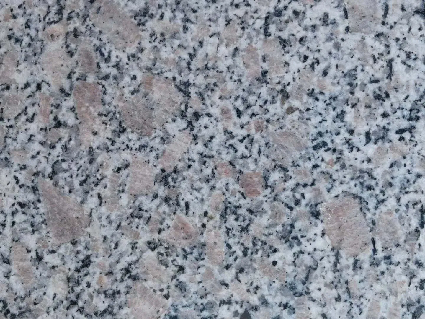 G383 Pearl Flower The Most Cheapest Granite for Ecuador