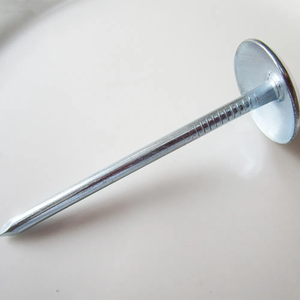 Roofing Nails with Umbrella Head/Steel Twisted Shank Roofing Nail