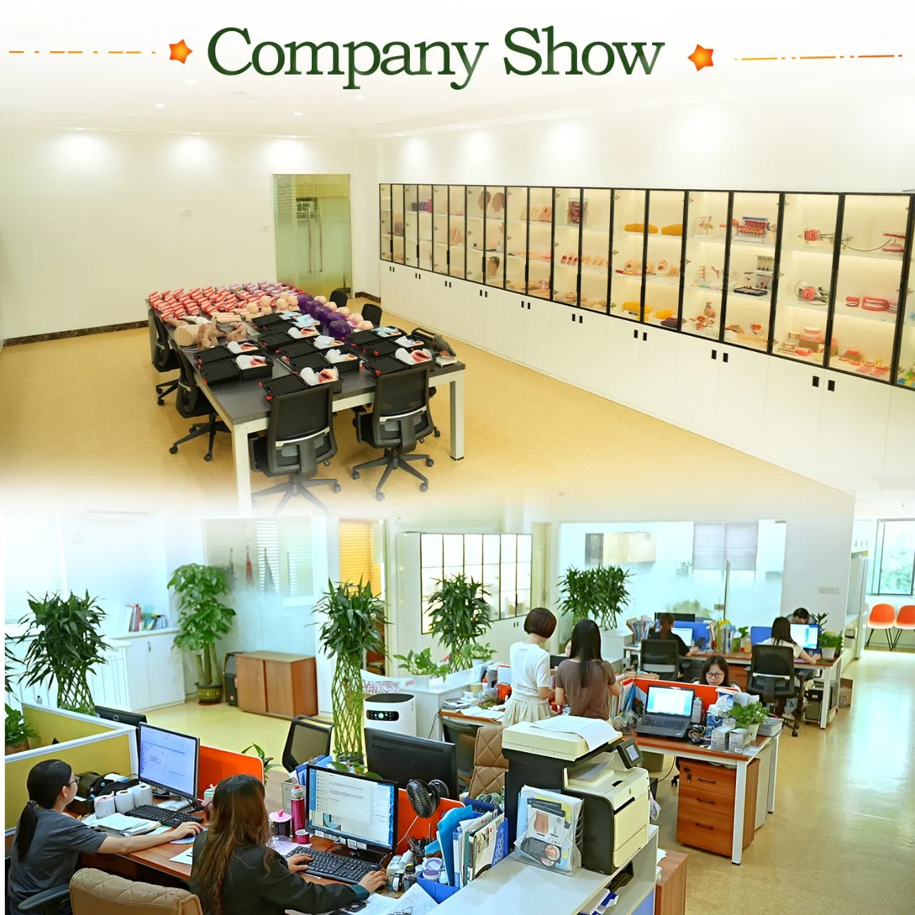 Detachable Ophthalmic flipper With Adjustable PD Scale