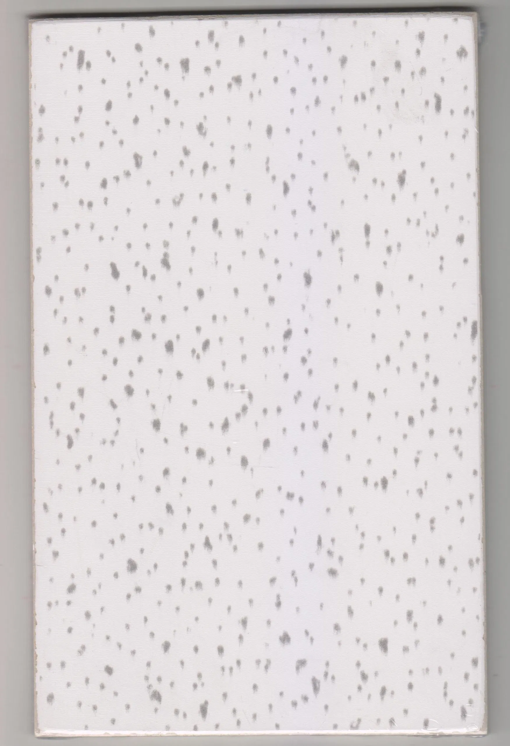 Fiber Cement Board Calcium Silicate Board Ceiling Tiles (CE Certificate, SGS)