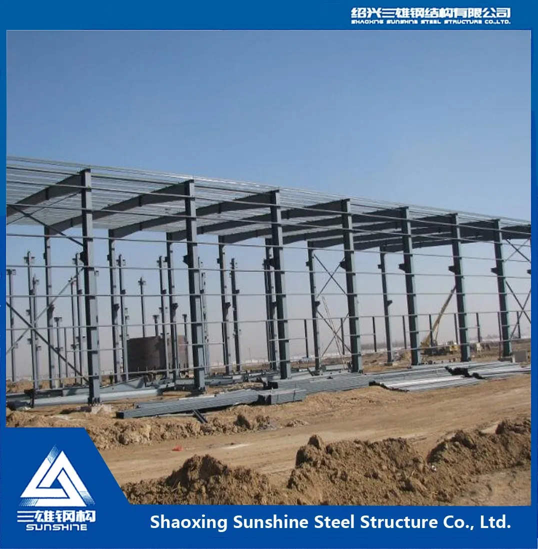 Durable Single Storey Steel Structure Building for Global Buyers