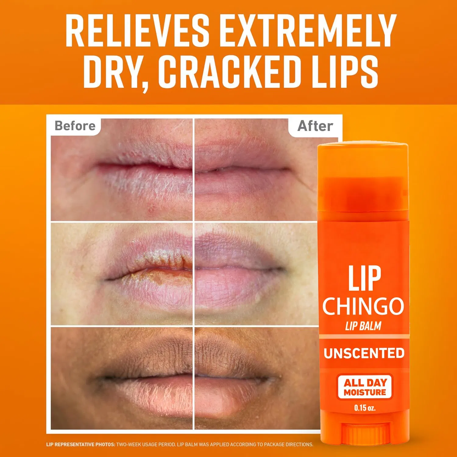 Plant-Based Lip Balm Natural Extracts Hydrate Heal Dry Lips