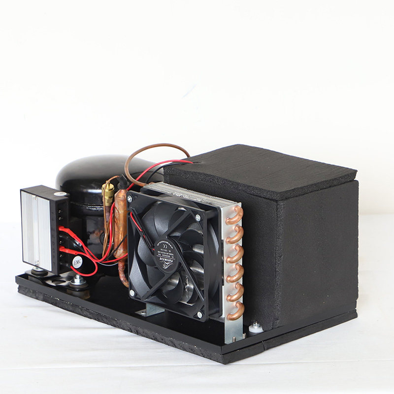 Purswave SA25DC DC 12V24V Mini Air Cooler for Cats Refrigeration Units Air Cooled Compressor Units Small Portable Air Conditioner Units Tiny Compressor