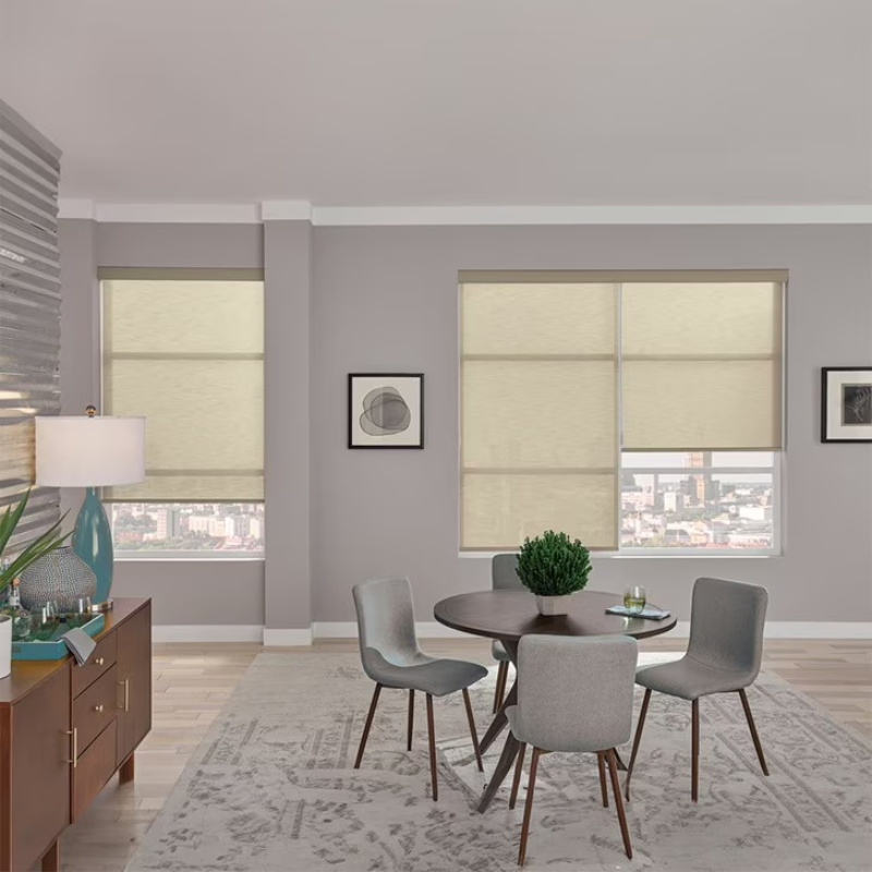 Modern High Quality Motorized Roller Blinds/Shade Window Blinds