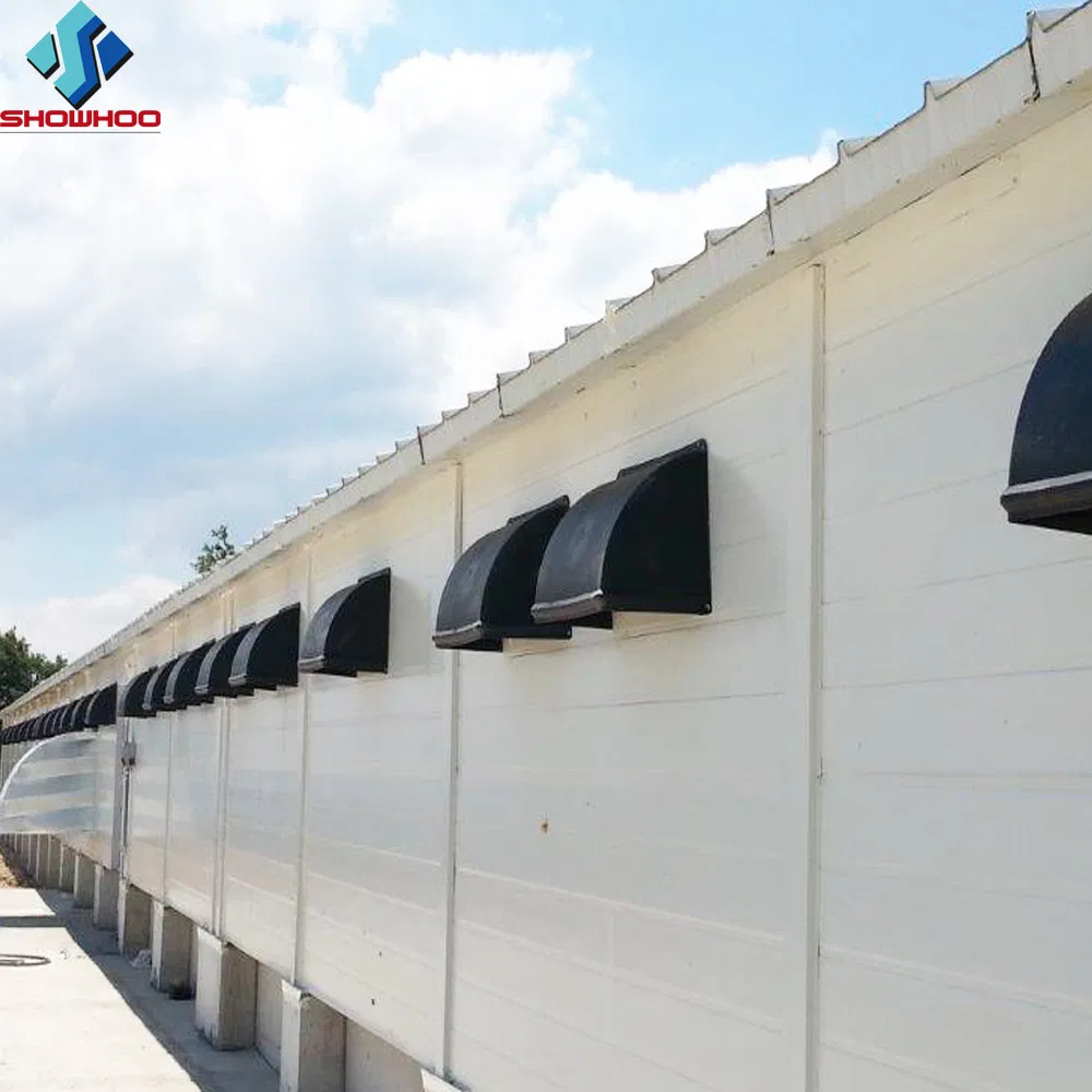 Steel Structure Poultry Farm House Chicken Shed Chicken Barn Construction