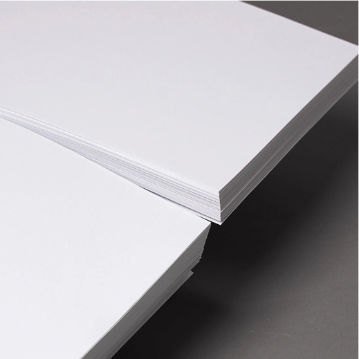 Food Grade White Cardboard Sheets with Unilateral Moisture-Proof Single PE Covering