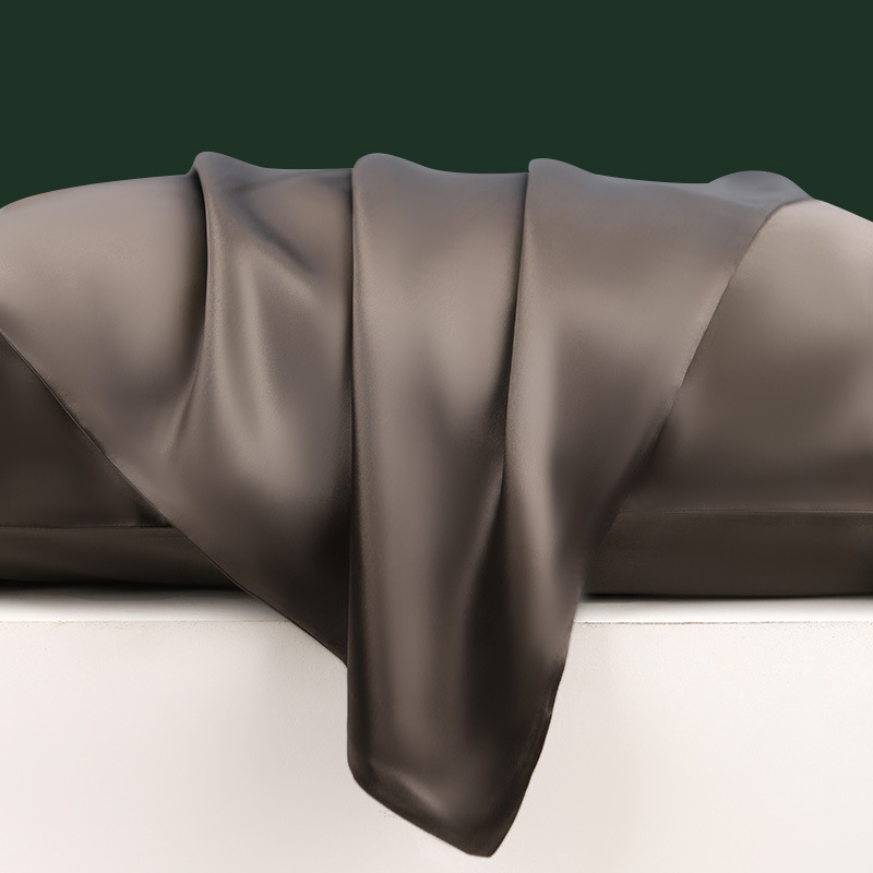 Queen Size 100% Mulbery 19mm Silk Pillowcase with Hidden Zipper