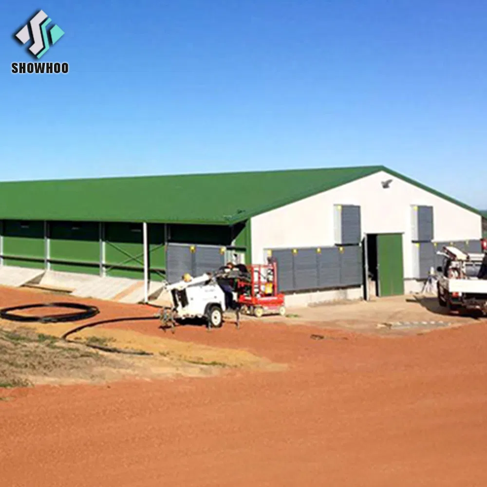 Prefabricated Steel Poultry Barns Farm Shed Design Industrial Chicken House