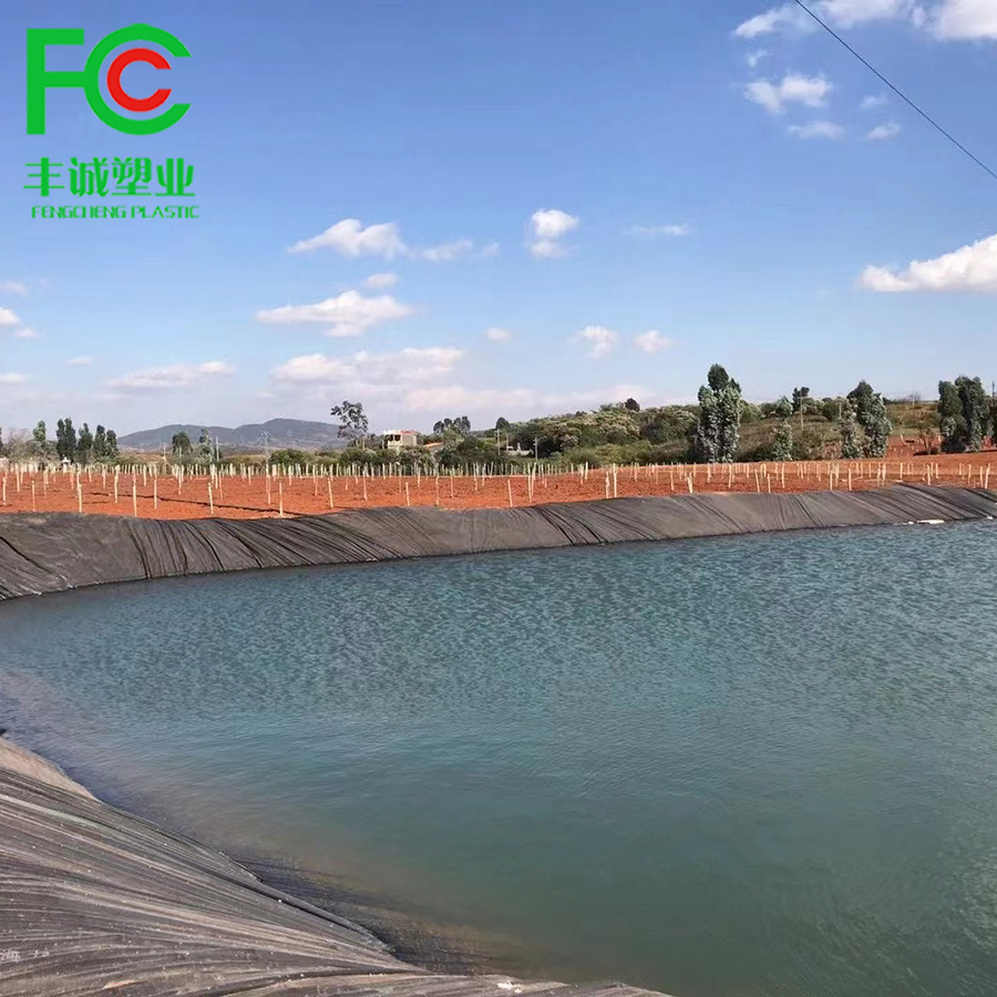 0.75 0.5mm Fish Ponds Farm Liner Geomembrane HDPE Liner