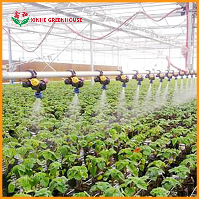 150mic -250 Mic Zigzag Flower Vegetables Warm Agro Multi Span Farden Greenhouses