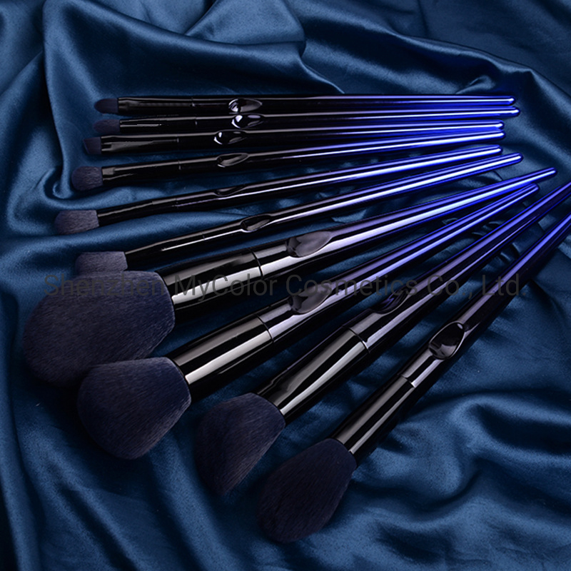 Luxury Makeup Brushes 10PCS Professional Make up Brush Set with Cosmetics Package