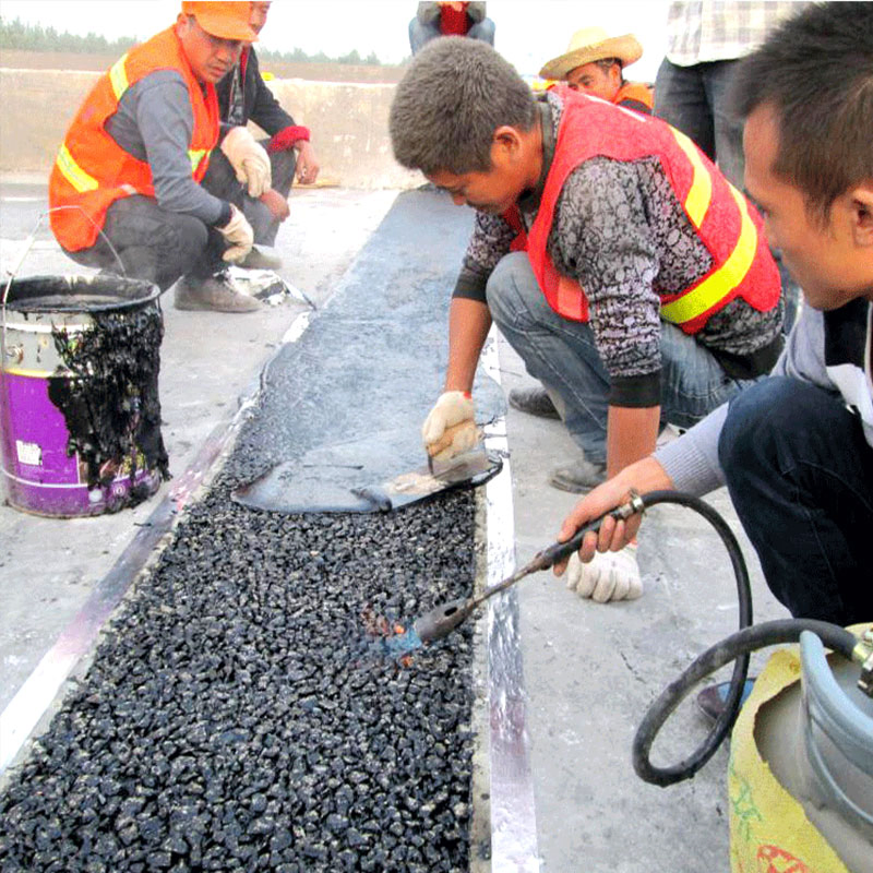 Asphalt Plug Joint Tst Asphalt Elastomer Expansion Joints for Bridges