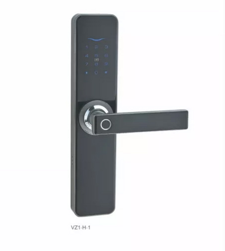Black Smart IC Card Intelligent Door Lock Fingerprint
