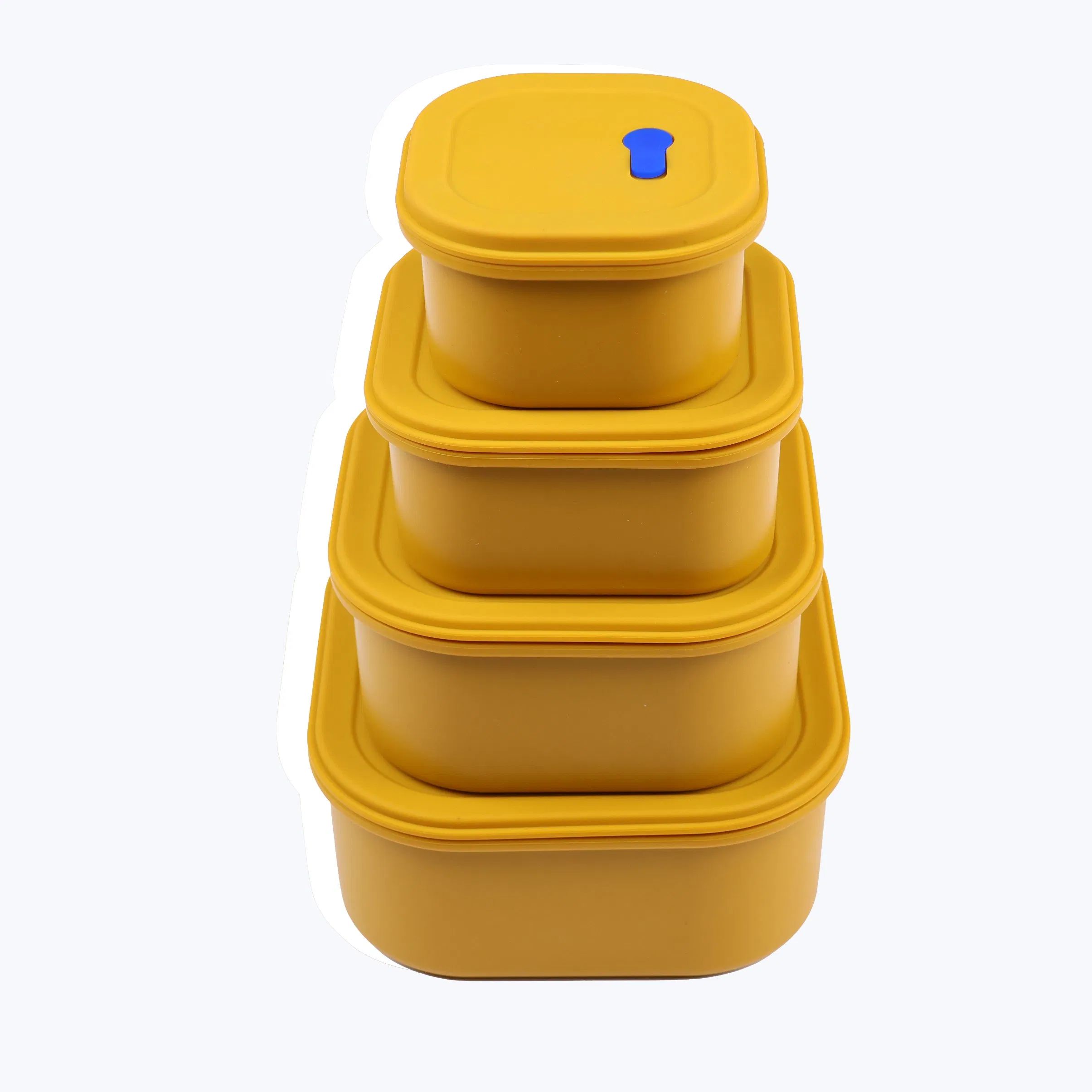 Set of 4 Airtight Hard-Shell Premium BPA-Free Food Storage Containers Silicone Bento Lunch Containers Lunch Box